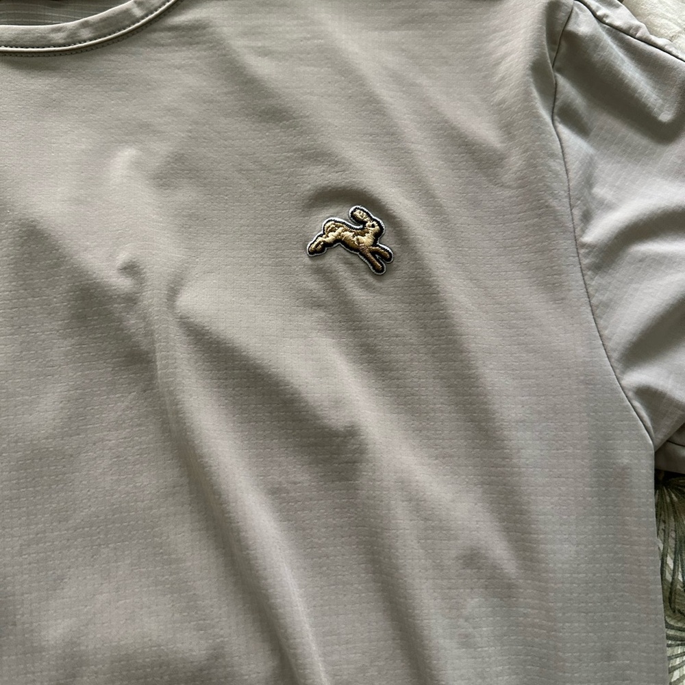 Tracksmith grey  Strata t shirt